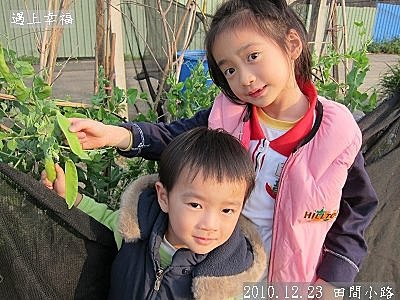 41 2010.12.23 田間小路 06.jpg