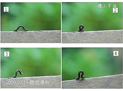 31龍宮瀑布.jpg