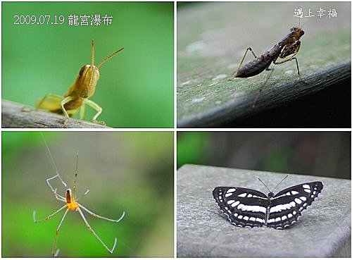 20-1龍宮瀑布.jpg