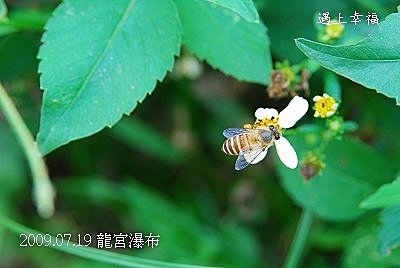 09龍宮瀑布.jpg