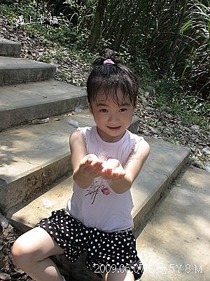 桃園虎頭山木棉11.jpg
