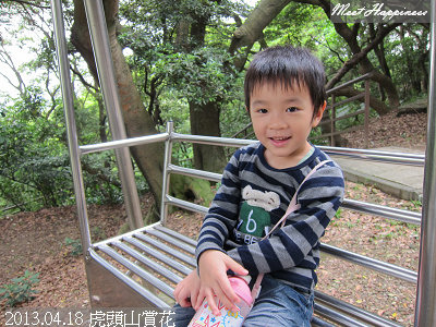 18-2013.04.18虎頭山油桐花 09.jpg