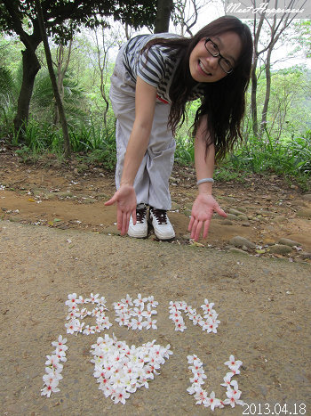 02-2013.04.18虎頭山油桐花 02.jpg