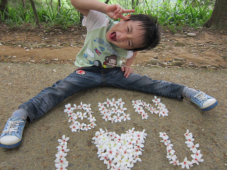 06-2013.04.18虎頭山油桐花 04.jpg