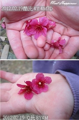05-2012.02.19 虎頭山走走 02.jpg