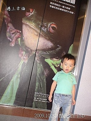 04 2009年Q比DDH回診.jpg