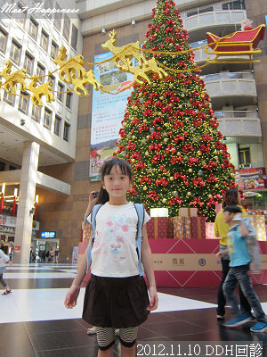 06-2012.11.10 DDH回診16.jpg