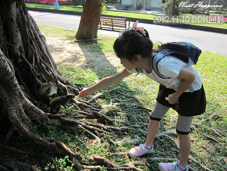 11-2012.11.10 DDH回診11.jpg