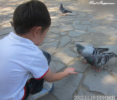 13-2012.11.10 DDH回診09.jpg