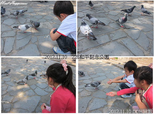 14-2012.11.10 DDH回診08.jpg