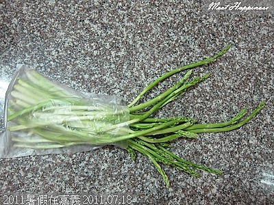 21-2011暑假在嘉義 05.jpg