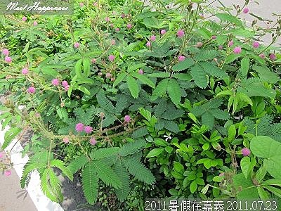 13-20110723暑假在嘉義II 08.jpg