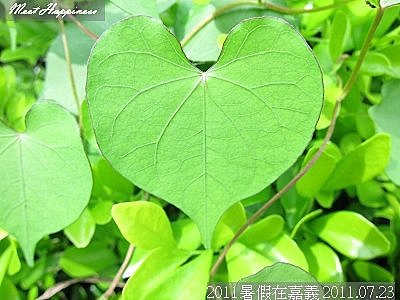 16-20110723暑假在嘉義II 05.jpg