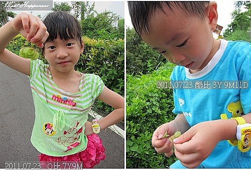 17-20110723暑假在嘉義II 04.jpg