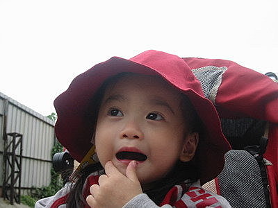IMG_7924.jpg