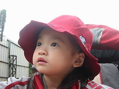 IMG_7926.jpg