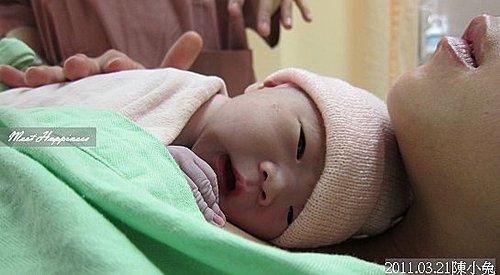 陳小兔.jpg