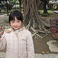 31-2013.01.14 DDH 取鋼釘 04.jpg