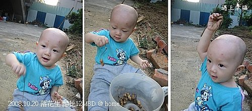 好個園丁系列之拔花生 遇上幸福 痞客邦