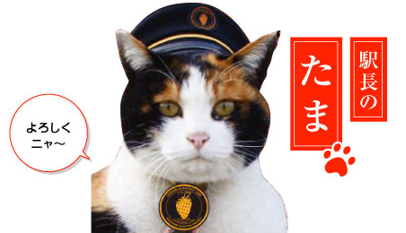小玉1.jpg 小玉1.jpg