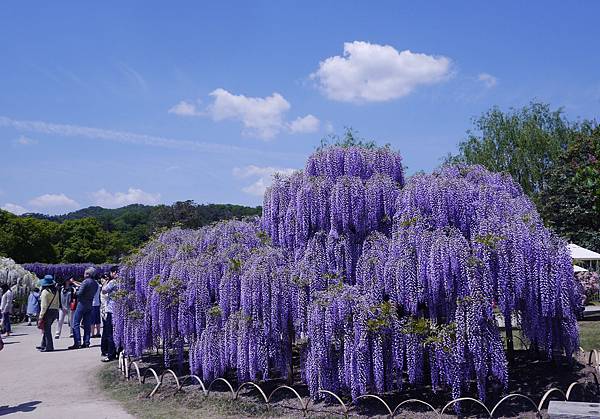 足利花園