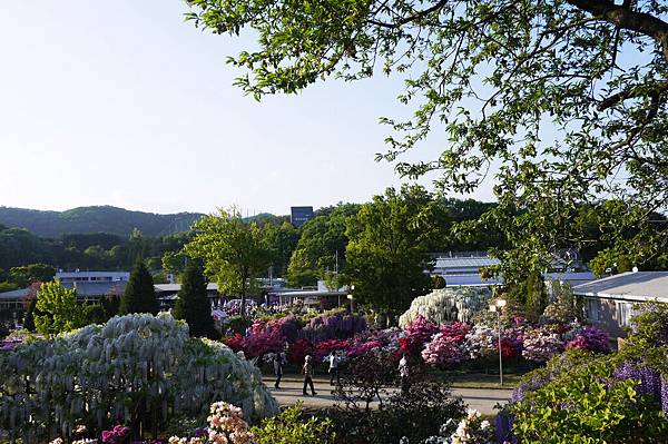 足利花園