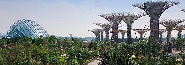 ▲新加坡 景點▲新加坡 濱海灣花園 Gardens by t ▲新加坡 景點▲新加坡 濱海灣花園 Gardens by t
