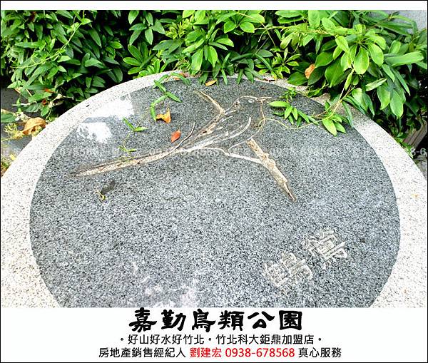 ?曈仿??砍?-蝬?-11.jpg