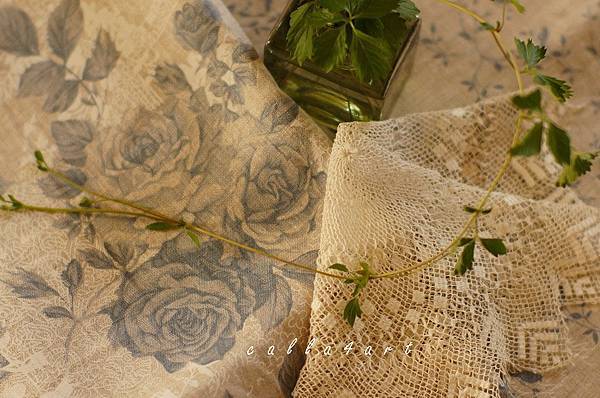 DSC03245拷貝.jpg DSC03245拷貝.jpg