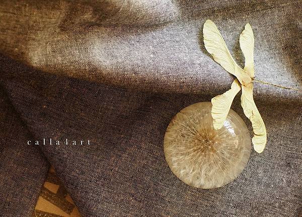 DSC08391拷貝 DSC08391拷貝