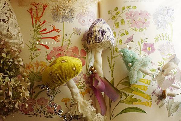 DSC05438拷貝.jpg DSC05438拷貝.jpg