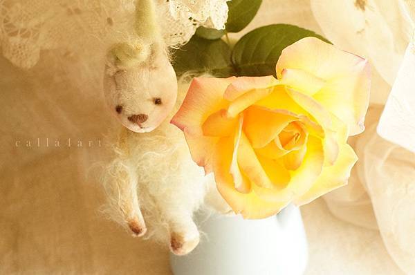 DSC01640拷貝.jpg DSC01640拷貝.jpg