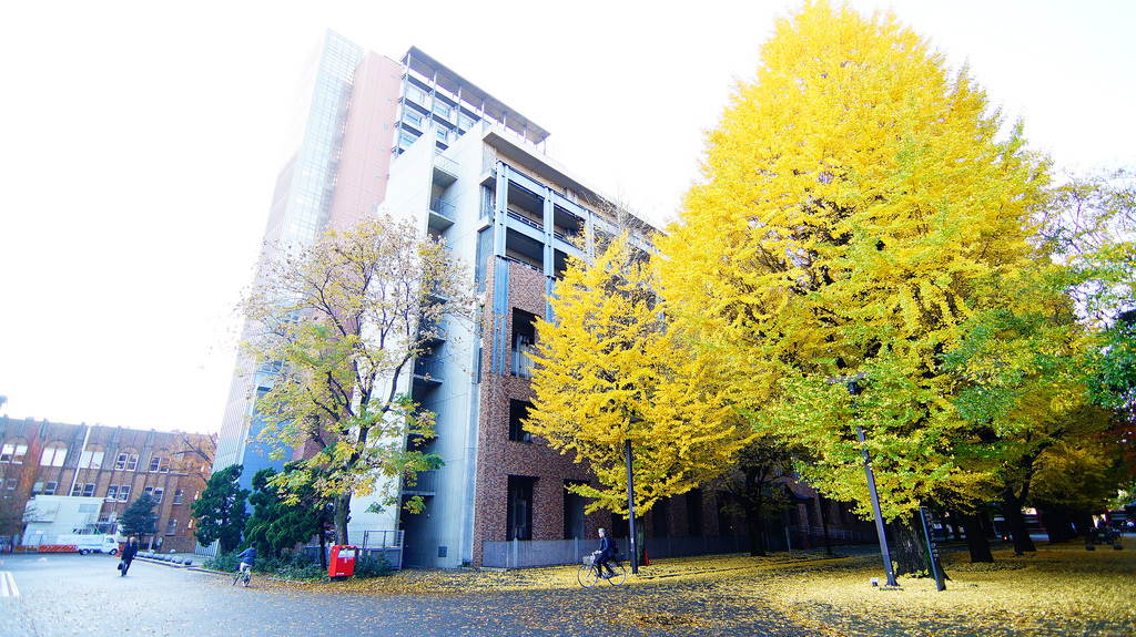 東京大學