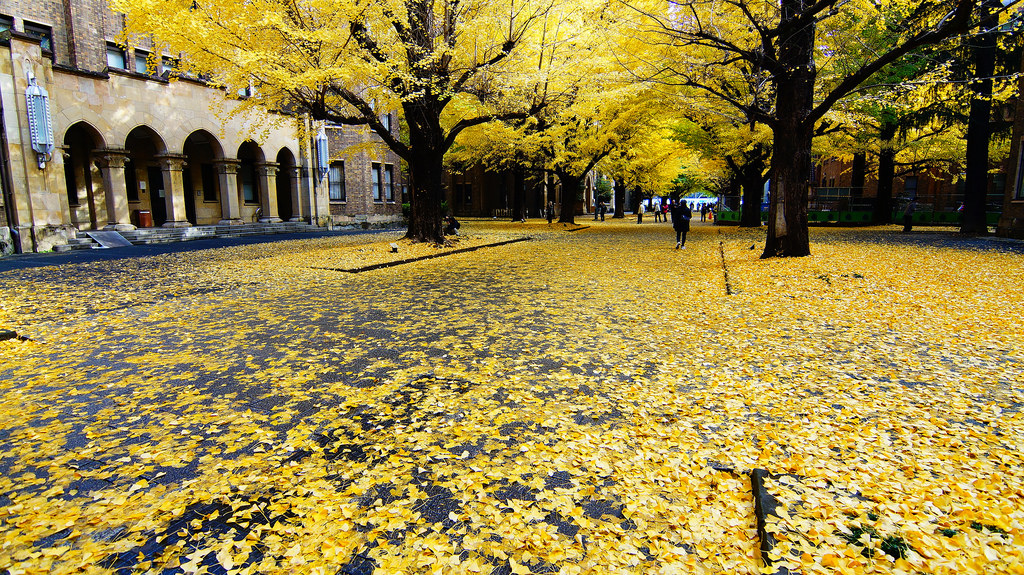 東京大學