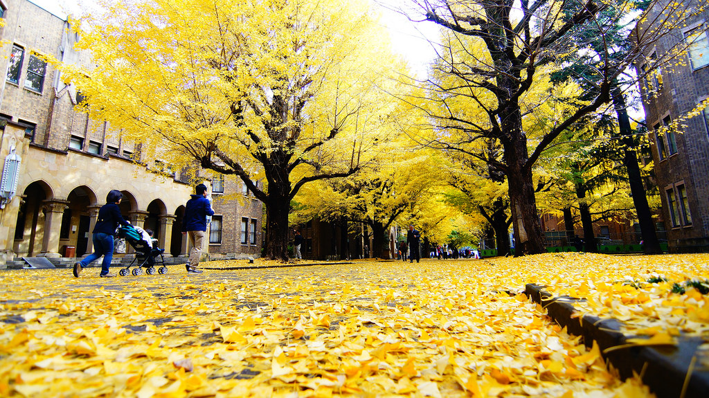 東京大學