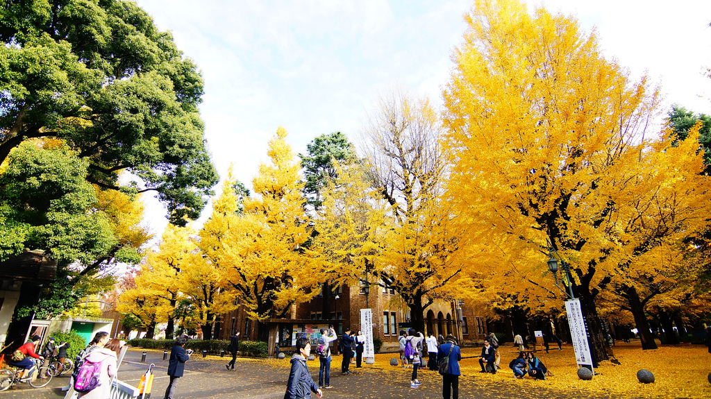 東京大學