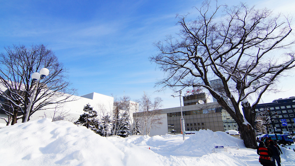 札幌大通公園