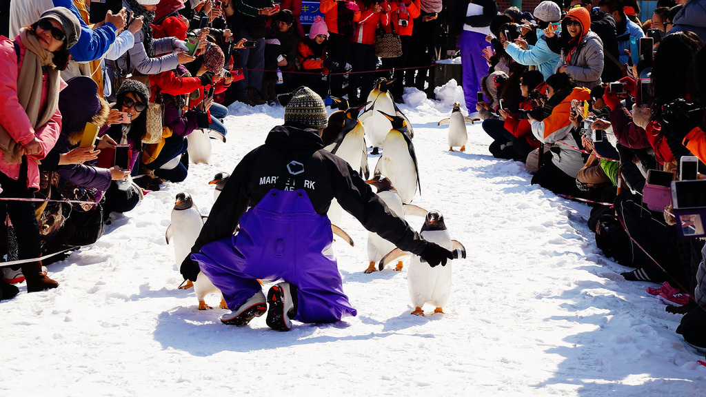 登別尼克斯海洋公園