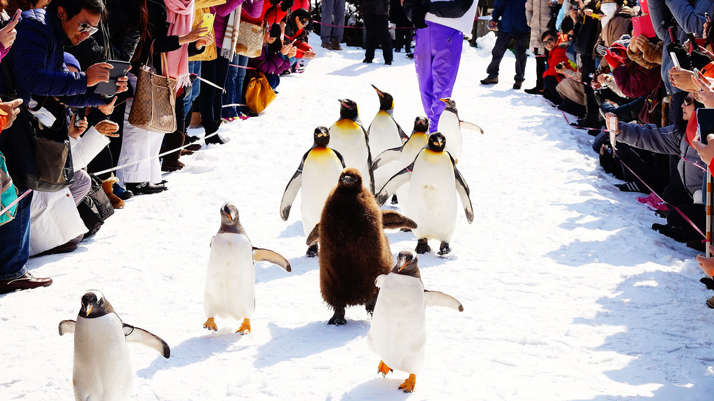 登別尼克斯海洋公園