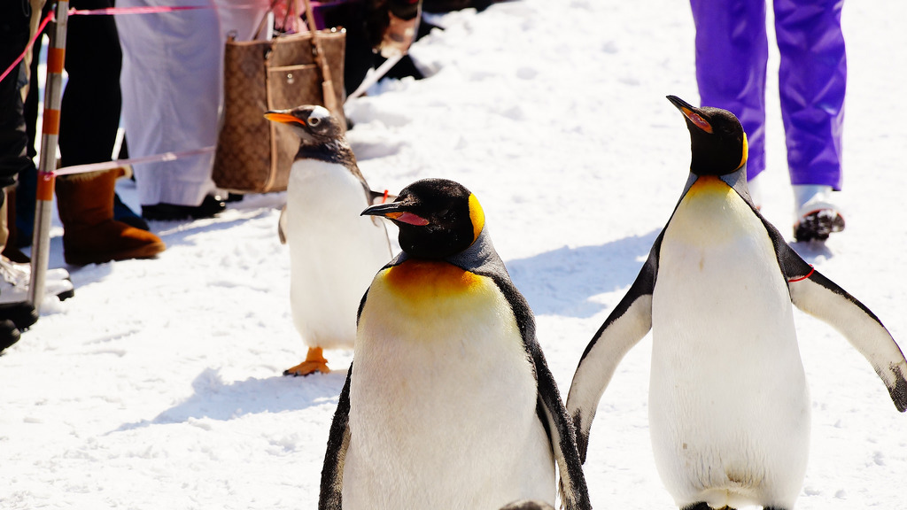 登別尼克斯海洋公園