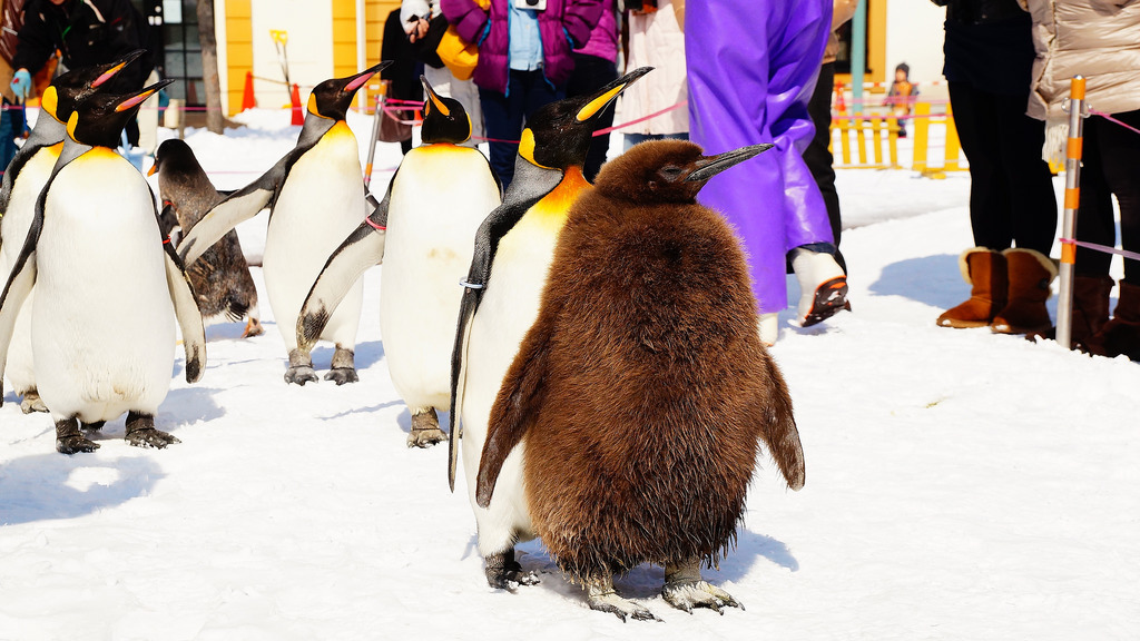登別尼克斯海洋公園