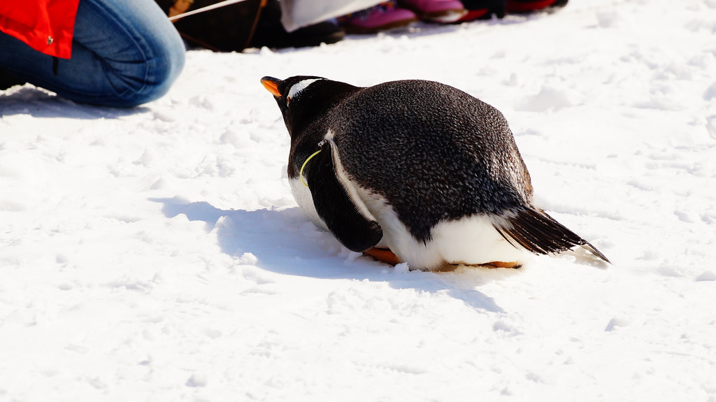 登別尼克斯海洋公園