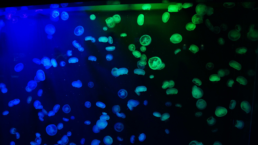 登別尼克斯海洋公園