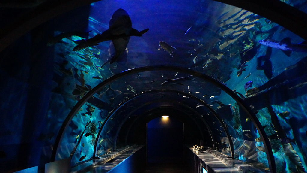 登別尼克斯海洋公園