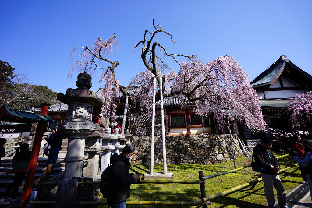 冰室神社