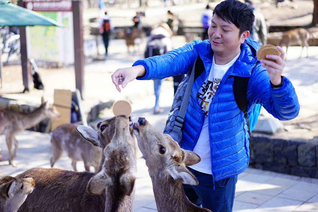 奈良公園