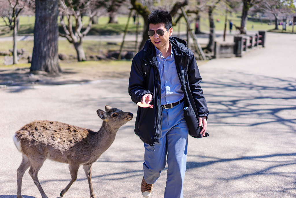 奈良公園