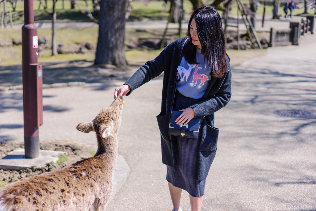 奈良公園