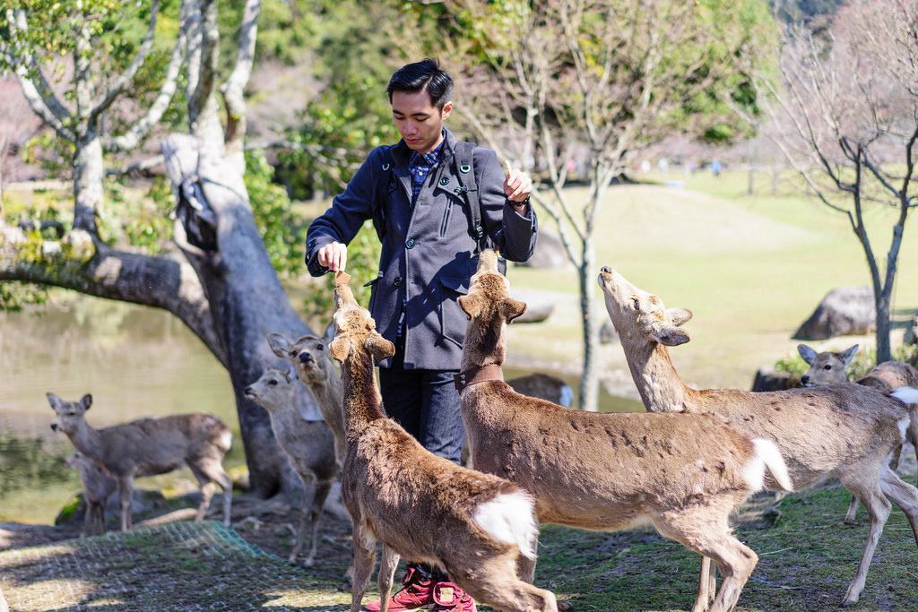 奈良公園