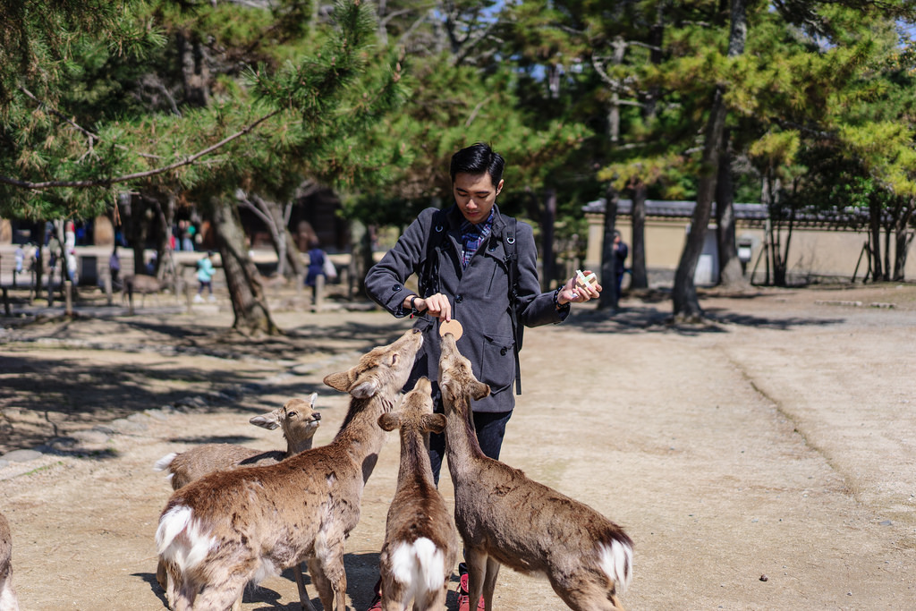 奈良公園